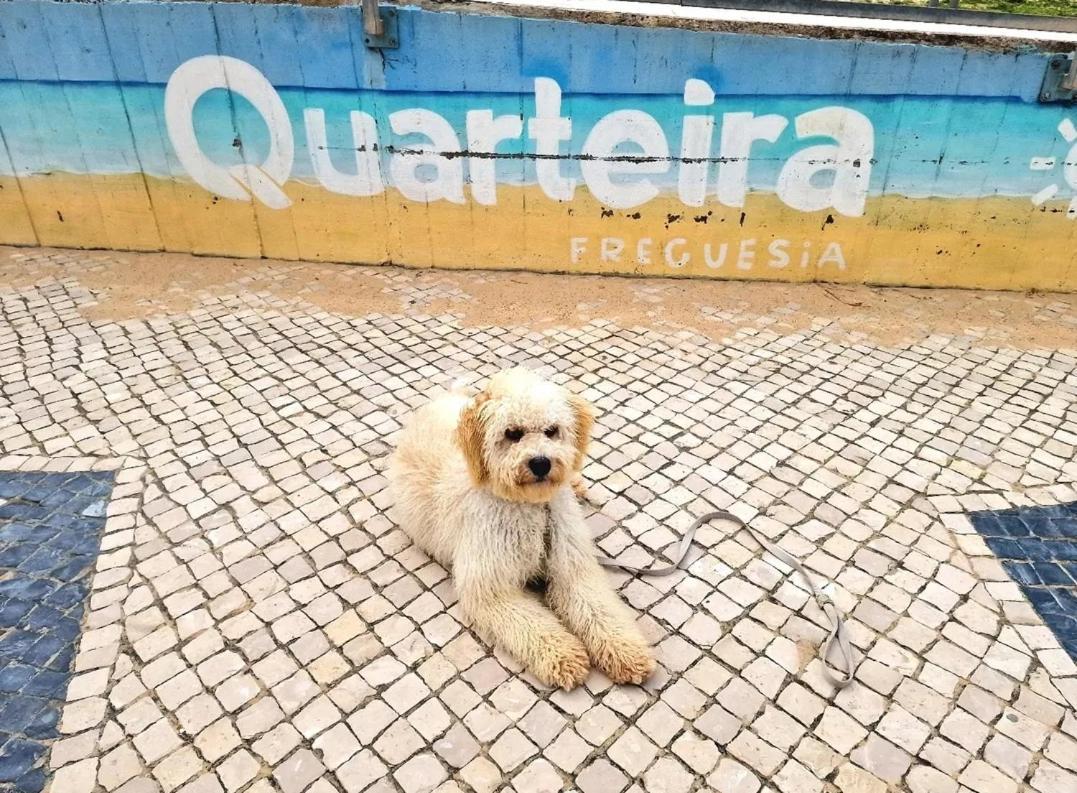 Studio Praia De Quarteira Exteriér fotografie